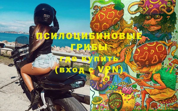 ешки Алексеевка