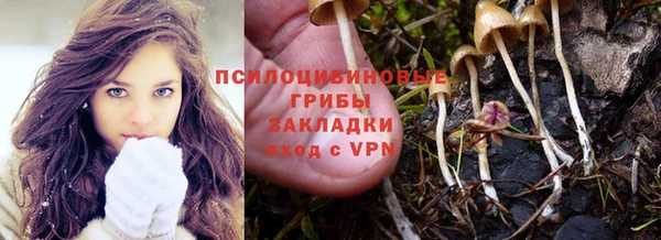 2c-b Алзамай