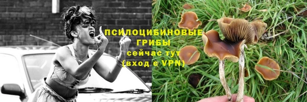 ешки Алексеевка