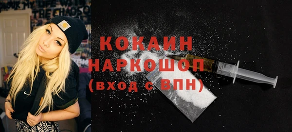 ешки Алексеевка